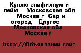 Куплю эпифиллум и лайм. - Московская обл., Москва г. Сад и огород » Другое   . Московская обл.,Москва г.